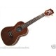 Anuenue Hulala Concert Ukulele & Pick up